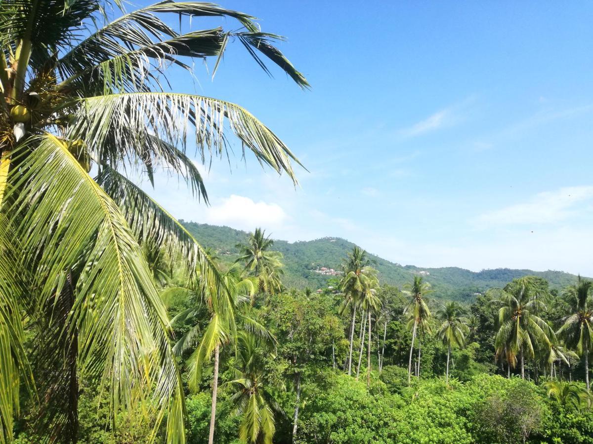 Koh Samui Palm View Holiday home Chaweng (Koh Samui)