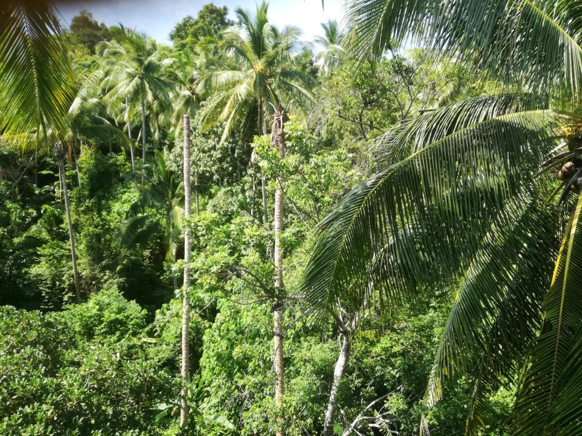 Koh Samui Palm View